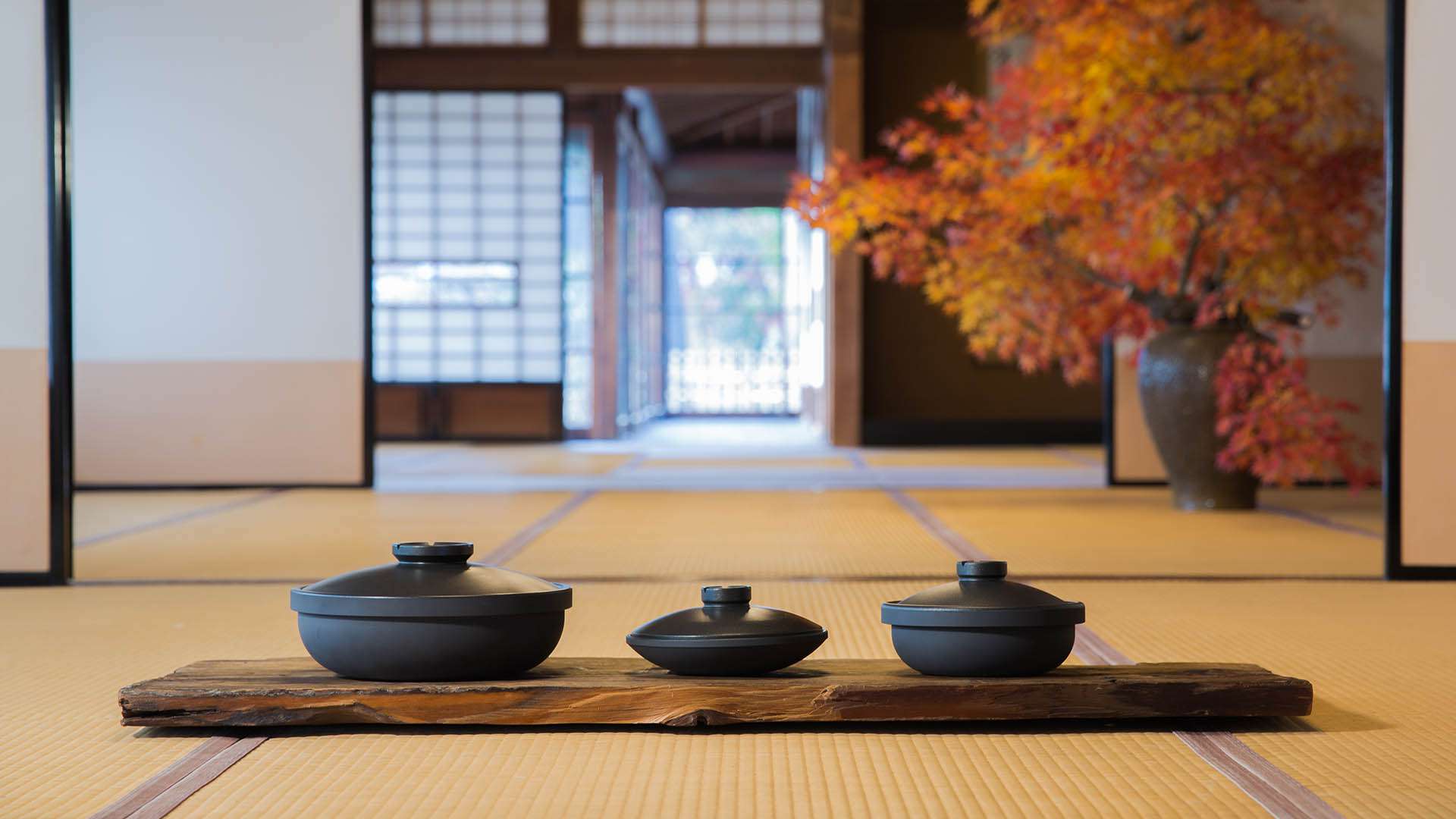 ホムスビジャパン｜カーボン鍋