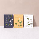 【お香】抹茶 KOTOHA -禅Zen- | 印香 | インセンスキッチン