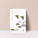 【お香】抹茶 KOTOHA -禅Zen- | 印香 | インセンスキッチン