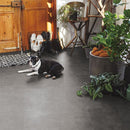 【フロアマット 】ペット対応 クッションフロア | い草製品・カーペット | 萩原株式会社