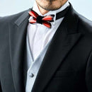 【板金加工】日青工業 蝶ネクタイ Metal Butterfly アグリアス・クラウディナ