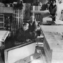 【屏風】ウルトラセブン | 本装屏風 - 武人画 (大型配送料2,500円)