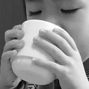 【有田焼】2016/ タフ カップ (バード:レッド)