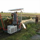 【い草-畳】イケヒコ い草ヨガマット アース 青 (60×180cm)