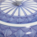 【茶器セット】平急須&さまし&丸平仙茶 平戸十草雷紋 | 三川内焼 | 平戸松山窯