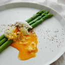 【有田焼】UTSUÀ プレート9点セット マットホワイト