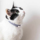 【京念珠】ねこのわ (中野伊助) 猫用ネックレス (首輪) GINKAKU