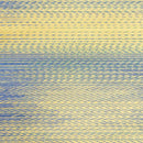 【い草-畳】イケヒコ い草ヨガマット eco skysea ハワイアンブルー