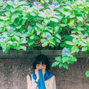 【ストール】天然インディゴ 手染め (3回染め) | 藍染 | インディゴ気仙沼