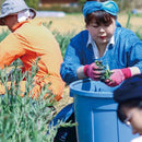 【ストール】天然パステル 手染め | 藍染 | インディゴ気仙沼