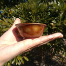 【新潟漆器】塗師Kiyo (小林仏壇店) おちょこ・ぐい呑 (ナチュラル)｜BECOSオリジナル