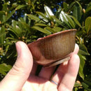 【新潟漆器】塗師Kiyo (小林仏壇店) おちょこ・ぐい呑 (銀)｜BECOSオリジナル