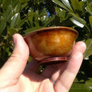 【新潟漆器】塗師Kiyo (小林仏壇店) おちょこ・ぐい呑 (ナチュラル)｜BECOSオリジナル