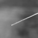 【ピアス】Shirley poppy (L) | 銀細工 | CHECOS