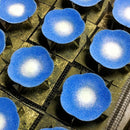 【茶托】宙(紺) 2枚組 | 無線銀貼七宝