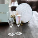 【シャンパングラス2点セット】冷感 花火 | 丸モ高木陶器