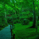 【本革キーケース】SMART MOVE! -type1 | アナログキーポケットタイプ- Calm Green (翠緑の古寺) | 革加工 | RAKUKEI