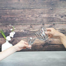 【吹きガラス】SUN GLASS STUDIO KYOTO 玄 酒器セット (酒差し, 盃1個)