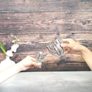 【吹きガラス】SUN GLASS STUDIO KYOTO 玄 酒差し