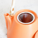 【美濃焼】晋山窯ヤマツ ティーポット＆ミニカップ 3点セット Voyage オランジュルーシー