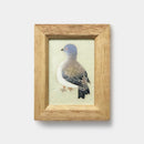 【染額】ハト | 加賀友禅 | J.Flavor * 菊田宏幸