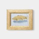 【染額】コイ | 加賀友禅 | J.Flavor * 菊田宏幸