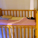 【ベビー布団】京都府から 手詰め木綿わたの 首くり布団セット | “0歳からの伝統ブランドaeru”