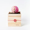 【プリザーブドフラワー】茶和花の鞠 (まり) 桜 | 宇治茶とフラワーデザイン | 茶和花 京都宇治