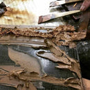 【輪島塗】楽 KOKEMUSU & NERIKANSHITSU 漆スクリーン オール (15点)